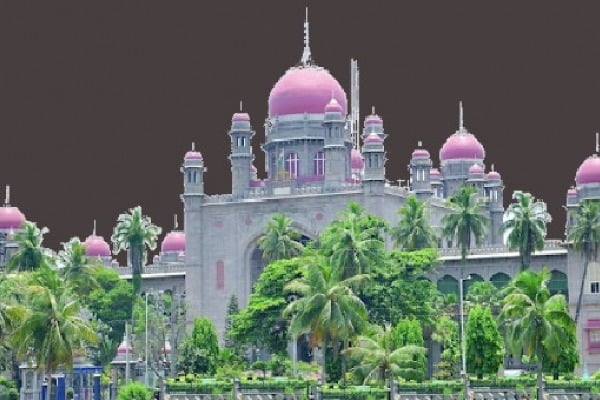 Telangana high court serious on mother and child death incident