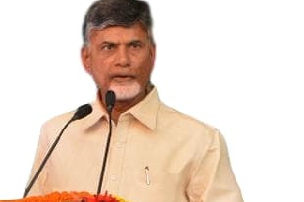 Chandrababu severe comments on Minister Peddy Reddy