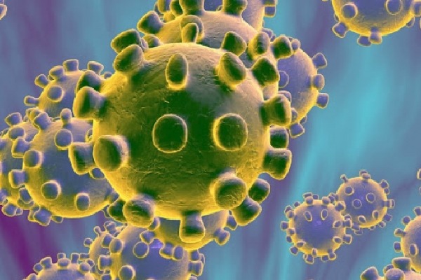 Corona Virus Changed in China More Dangerous