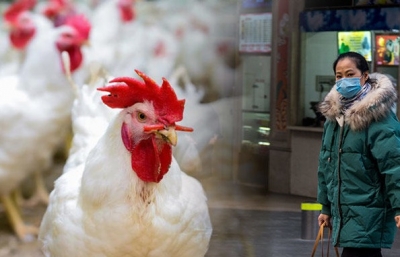 Chicken Mutton sales ban at West Godavari