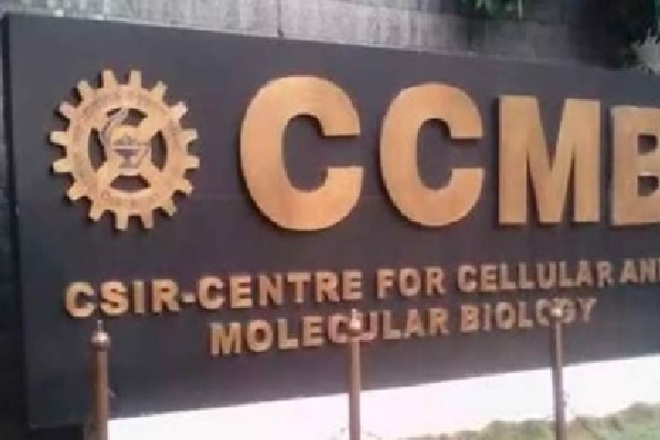 Central Government accepts to conduct corona tests in CCMB