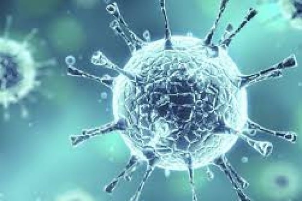 corona virus in India was weaker than in chaina