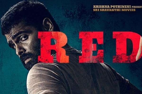 Iam Not in any Dylama Over RED Release says Hero Ram