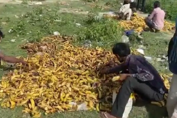Migrants Pick Bananas Trashed Near Delhi Cremation Ground