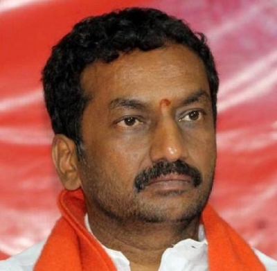 BJP leader Raghunandan Rao writes letter to party chief 