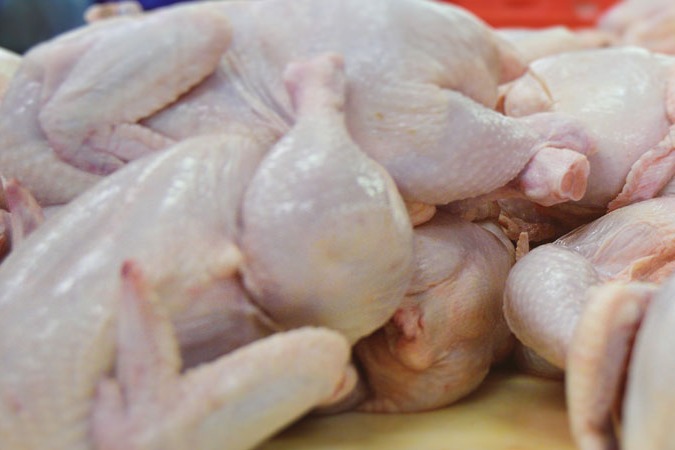 Chicken Rates Utterly decreased in Kurnool Dist