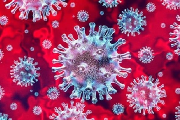 Telangana corona virus bulletin