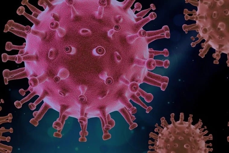 coronavirus cases in ap