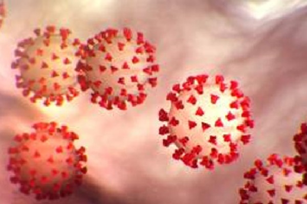 Doctor found coronavirus symptoms in two AP people