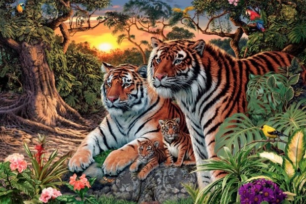 Wow Many Tigers in This Picture 