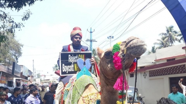 groom on camel viral photo