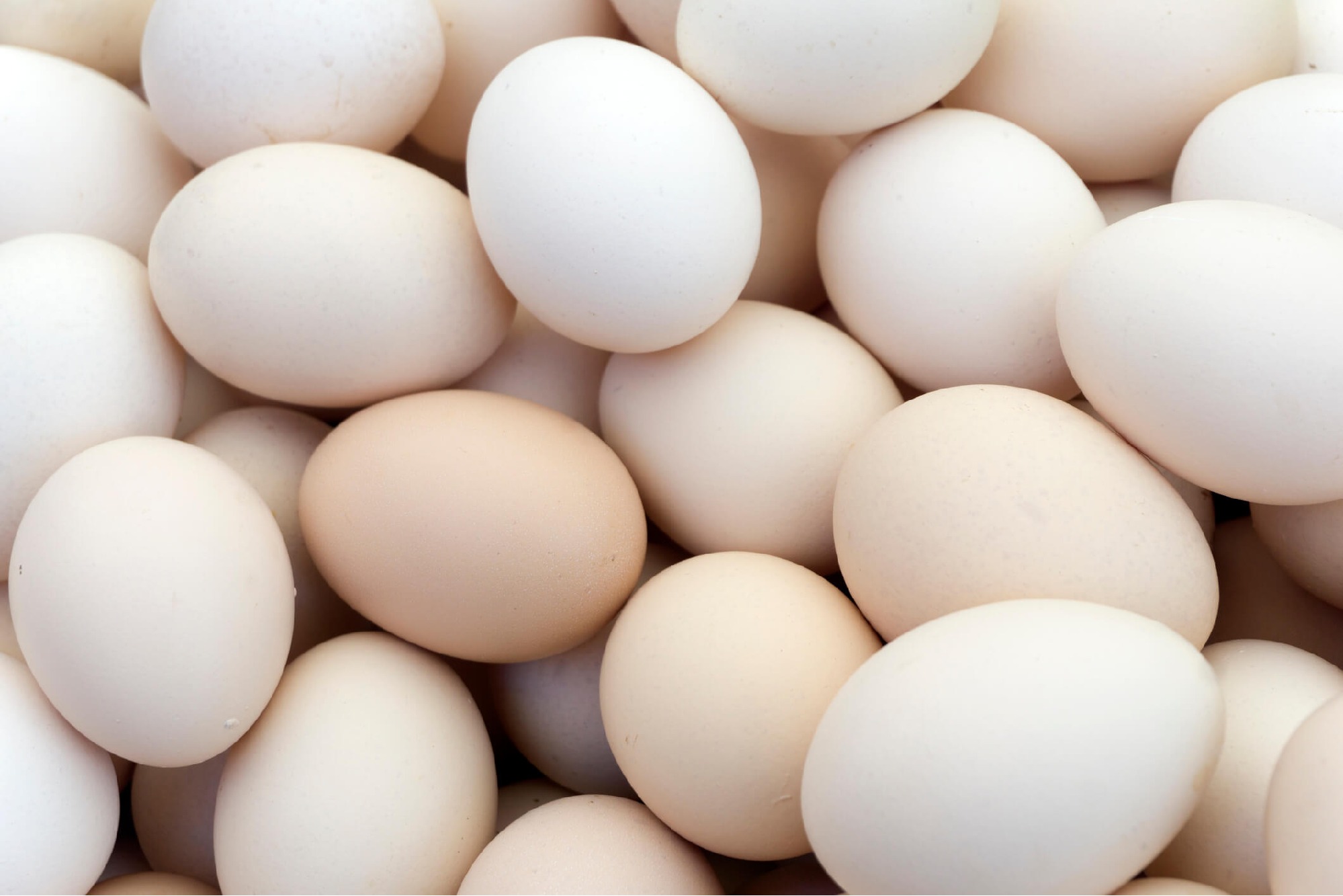 Egg Price Slash to One Rupee in Armoor