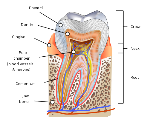 representational image