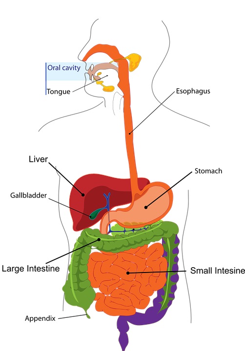 representational image