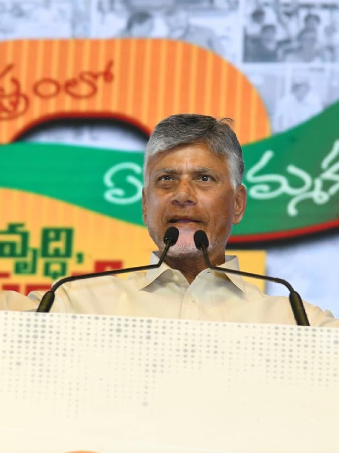 వాళ్లకు ఎలాంటి విజన్ లేదు... పాయిజన్ మైండ్!: తిరుపతి సభలో చంద్రబాబు