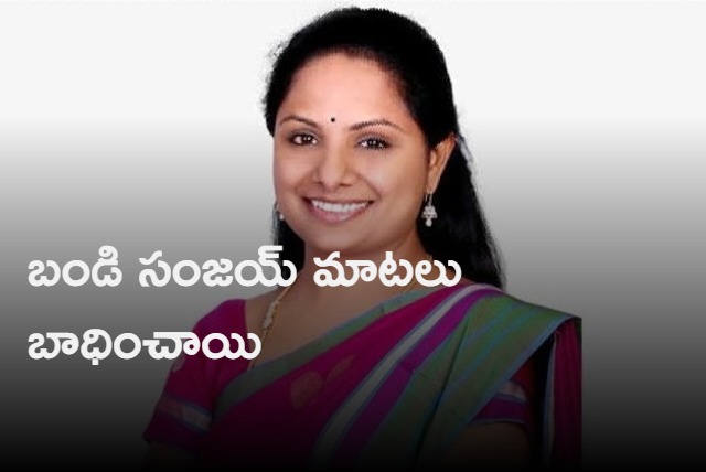 We never insulted AP people says Kavitha