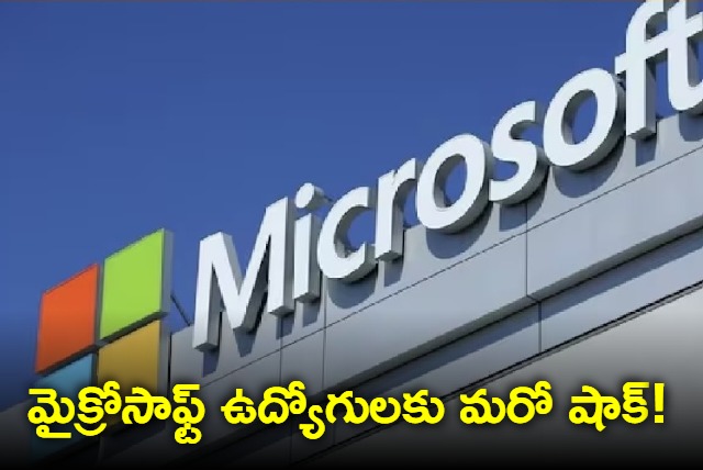 Microsoft will not give salary hikes to full time employees this year