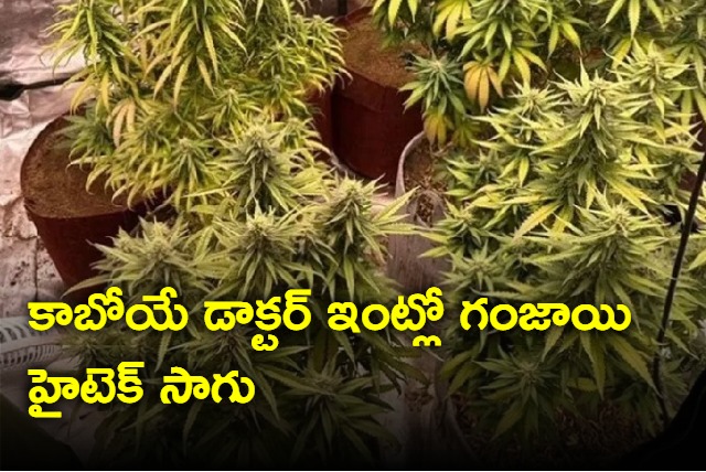 3 Including Medical Student Uses Hi Tech Farming To Grow Ganja At Home In Karnataka