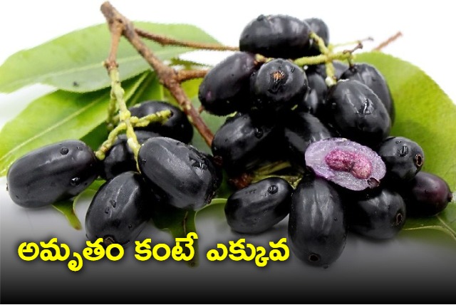 health benefits with Jamun fruit