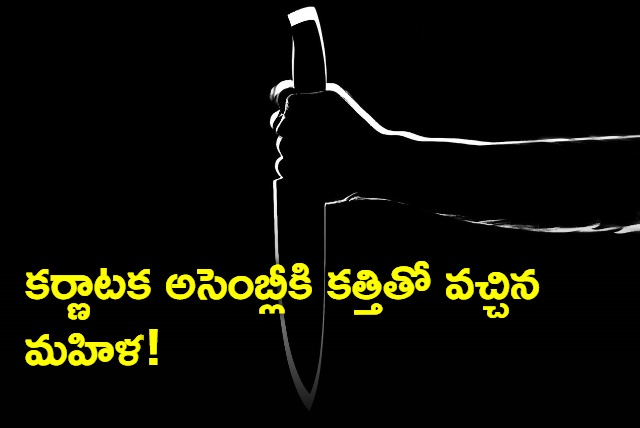 woman tries to enter karnataka vidhana soudha with knife