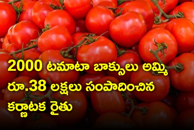 Meet Karnataka farmer who earned Rs 38 lakh selling expensive tomatoes