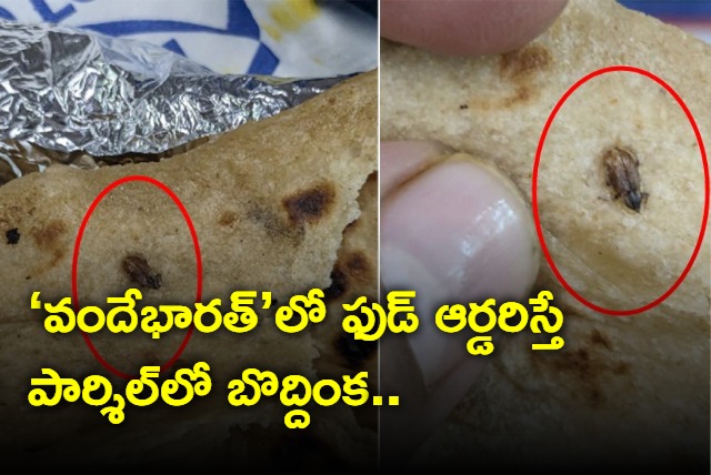 Cockroach Found in Meal Served on Vande Bharat Train IRCTC Responds