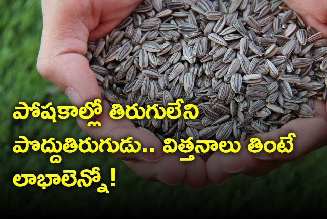 health benefits of eating sunflower seeds