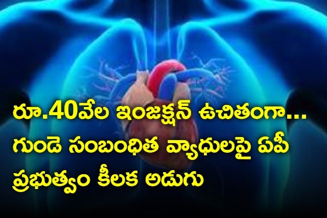 AP Government special focus on heart treatment
