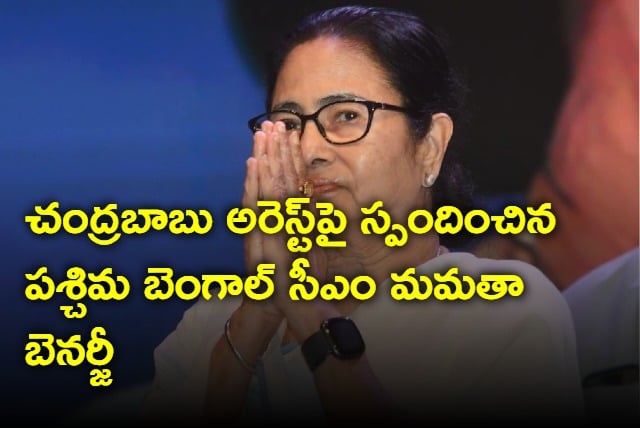 if there is some mistake conduct investigation mamata on chandrababu arrest