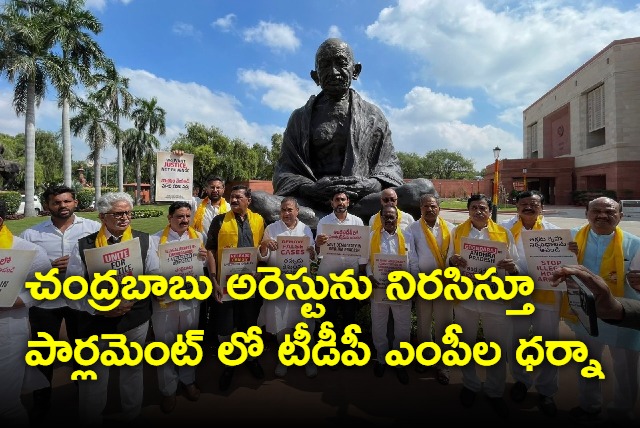 TDP MPs Dharna At Parliment Premises