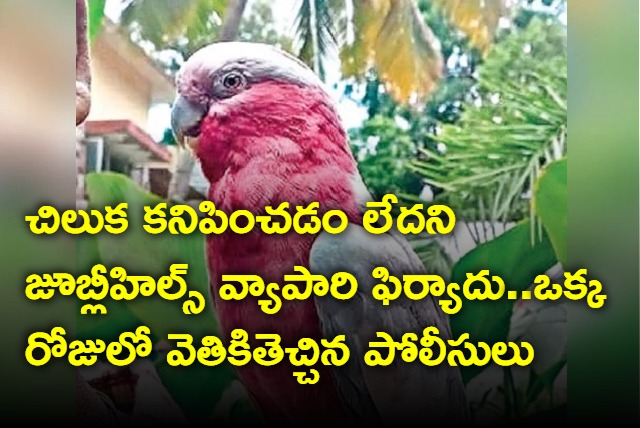 Lost australia parrot returned to owner in a day by jubilee hills police