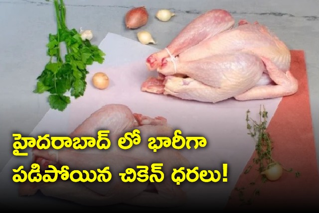 Chickent rates in Hyderabad fall down
