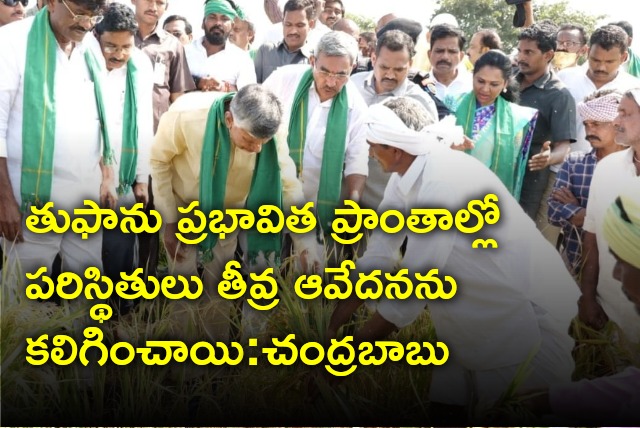 Chandrababu visits paddy fields in joint Guntur district