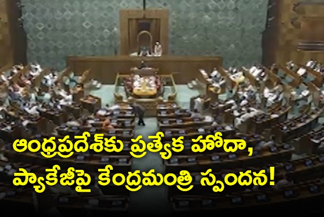 Union Minister on AP special State
