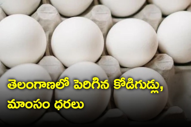 Chicken eggs price rise in Telangana 