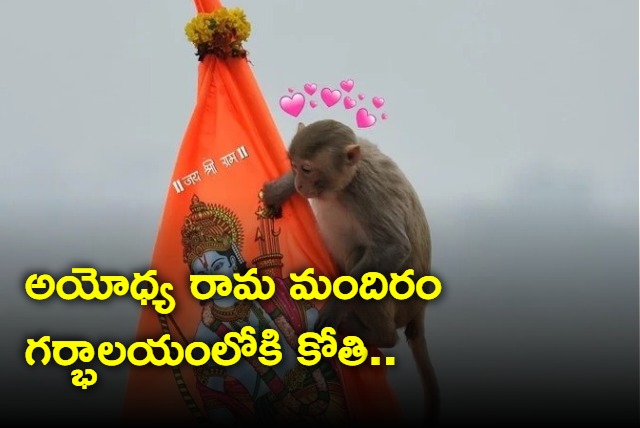 A monkey entered the Ram mandir sanctum sanctorum on Tuesday evening