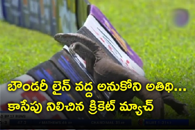 Monitor lizard enters into ground while Sri Lanka batting against Afghanistan