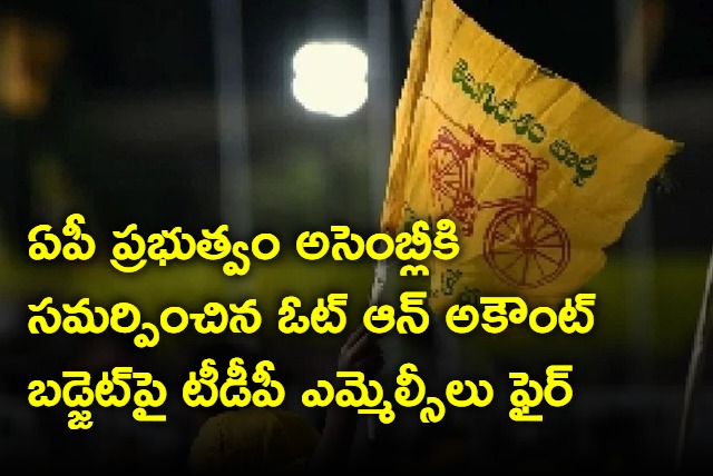 TDP MLCs are on fire on the vote on account budget submitted by the AP government to the assembly