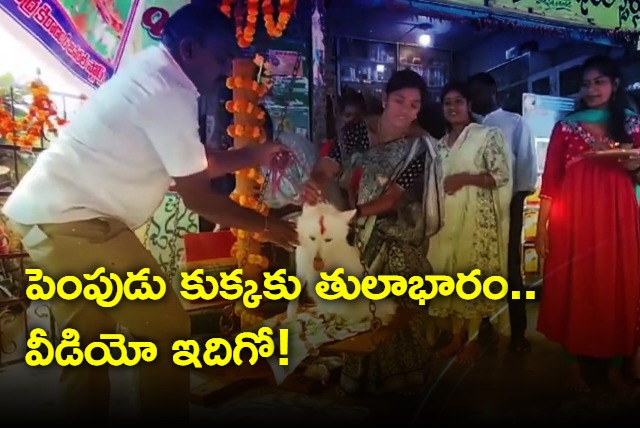 Couple Offers Jaggery Equal To Their Pet Dog Weight For Medaram Jathara