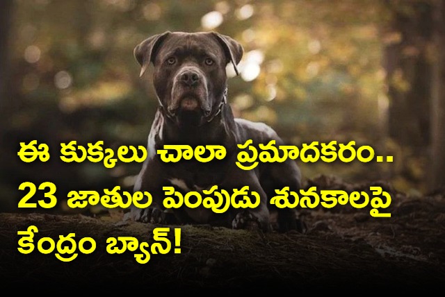 23 dangerous dog breeds banned by the government in India