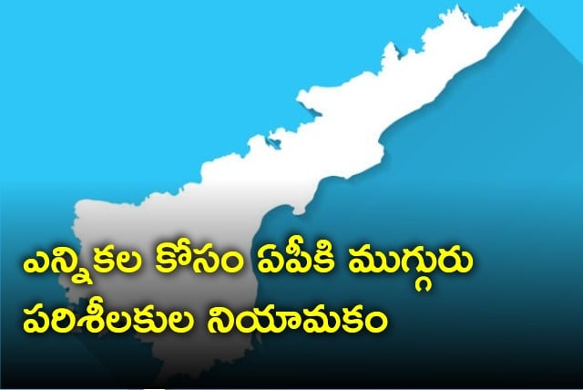 CEC appoints three special observers for AP 