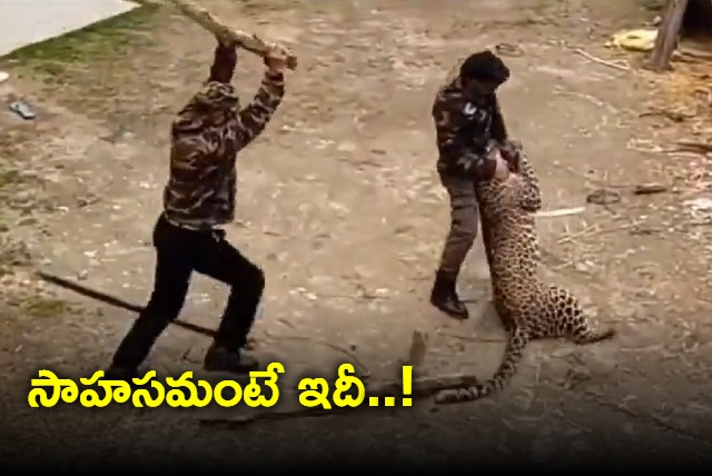 Wildlife Official Fights Off Leopard With Stick In Kashmir Village