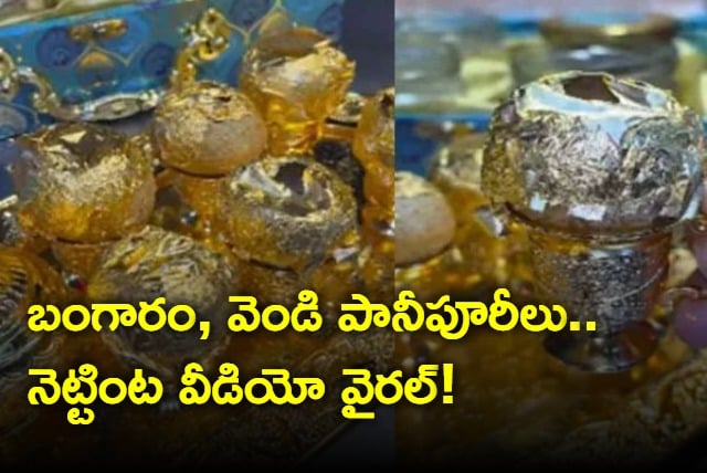 Gold and Silver Panipuri Videot goes Viral on Social Media