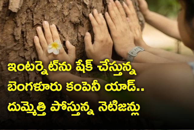 Hugging Trees For  1500 Ad By Bengaluru Company Shocks Internet