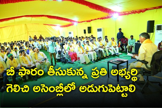 Chandrababu wish every TDP candidate should win in upcoming elections