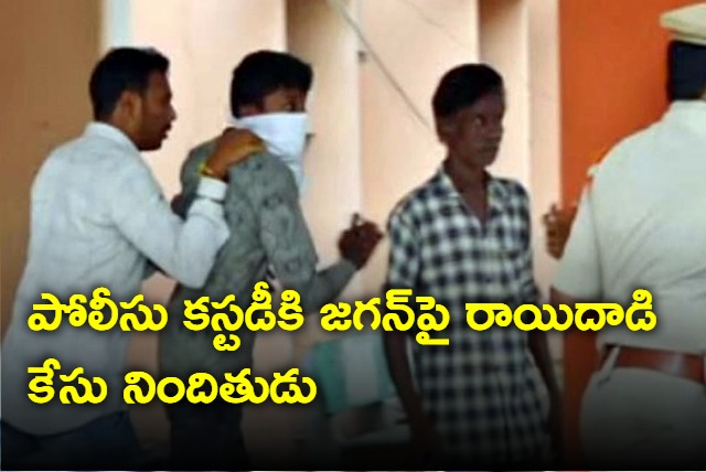 Vijayawada court sent Satish who accused in stone attack to police custody
