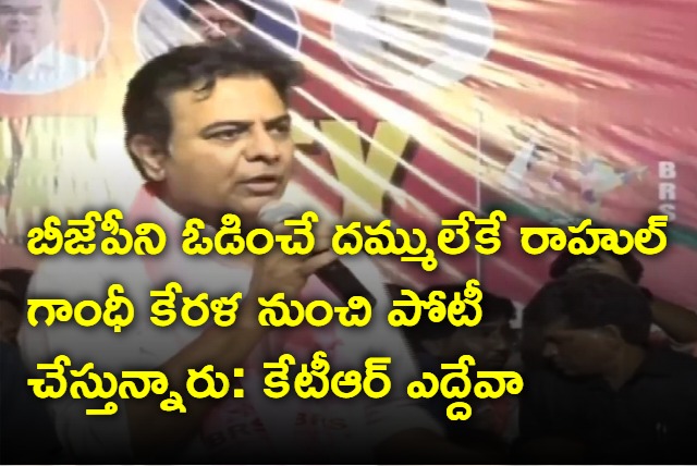 KTR says Rahul Gandhi have no guts to contest from Amethi