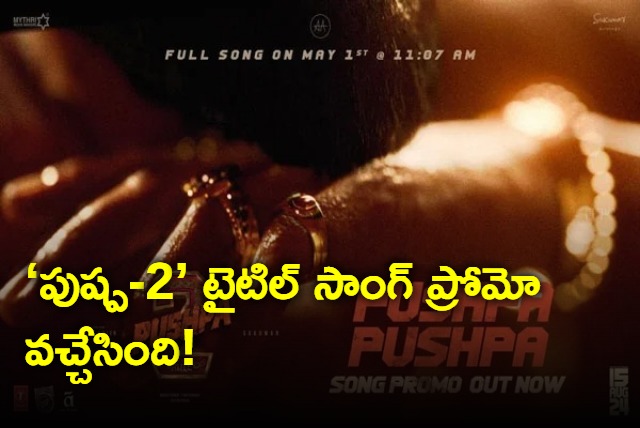 Pushpa Song Promo from Pushpa 2 The Rule