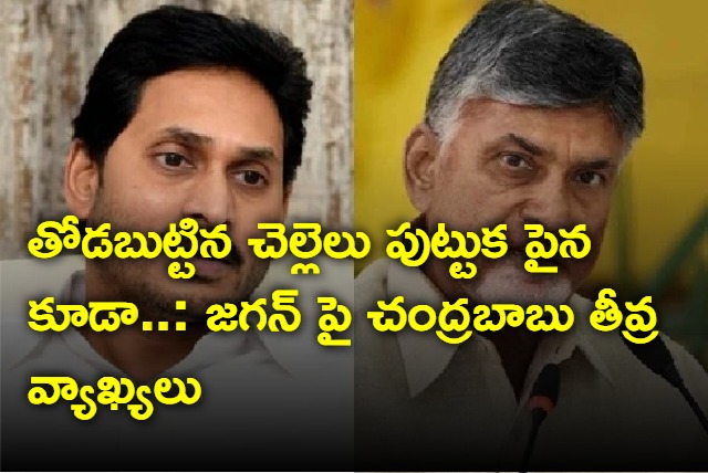 Chandrababu fire on Jagan for comments on Sharmila