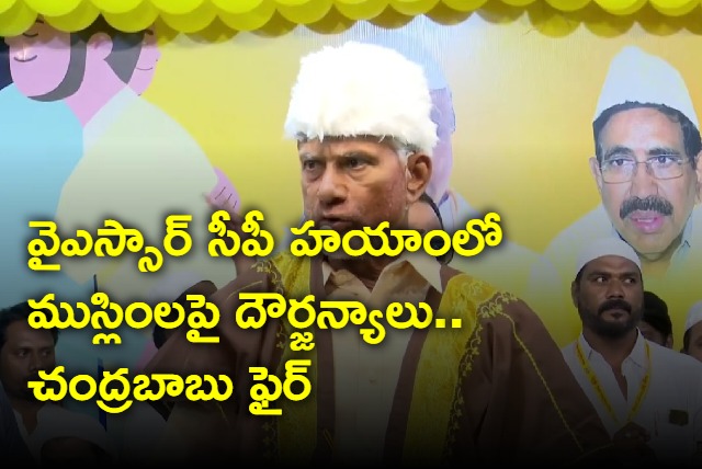 chandrababu comments on ysrcp government